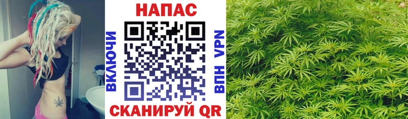 Бошки марихуана Bruce Banner Кстово